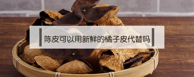陳皮可以用新鮮的橘子皮代替嗎