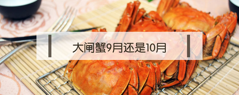 大閘蟹9月還是10月