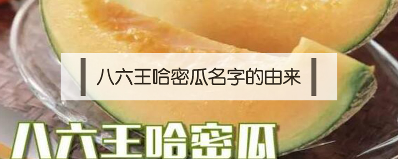 八六王哈密瓜名字的由來