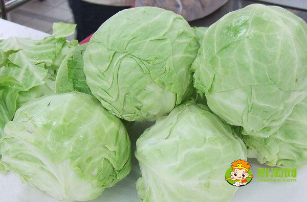 包菜怎么保存兩個月,包菜放冰箱兩個月還能吃嗎