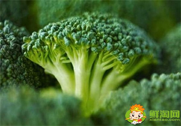 西蘭花變白了能吃嗎，西蘭花吃多了的害處