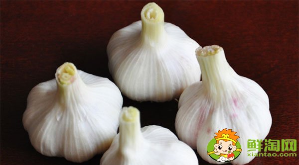 大蒜和冰糖煮水真的治咳嗽嗎，大蒜的功效與作用