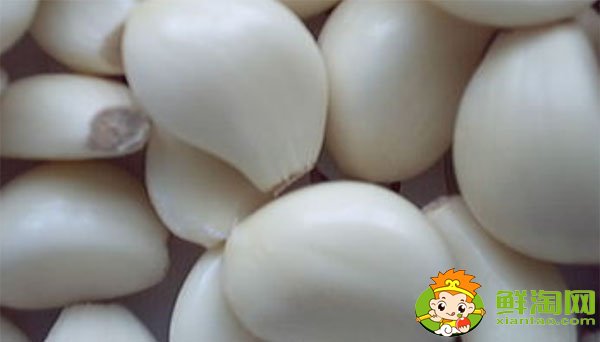 金鄉(xiāng)大蒜最新價(jià)格，一九年下半年大蒜行情