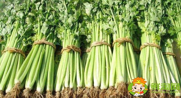 芹菜怎么處理比較脆，芹菜怎么處理沒(méi)有筋