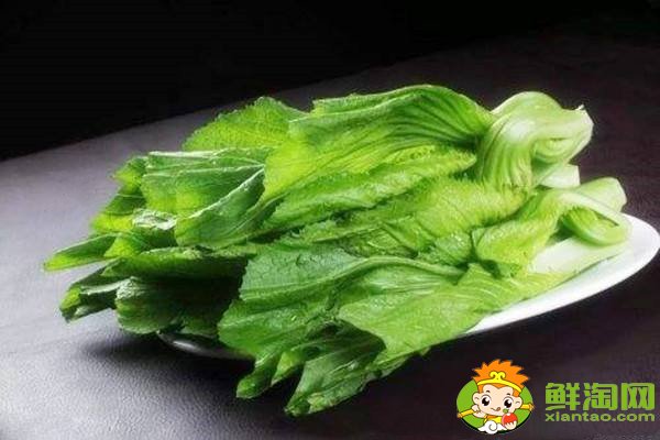 天冷吃什么菜熱乎？秋冬養(yǎng)生菜有哪些