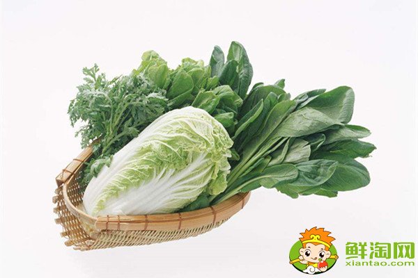 哪個(gè)季節(jié)青菜最多，什么蔬菜冬天凍不死