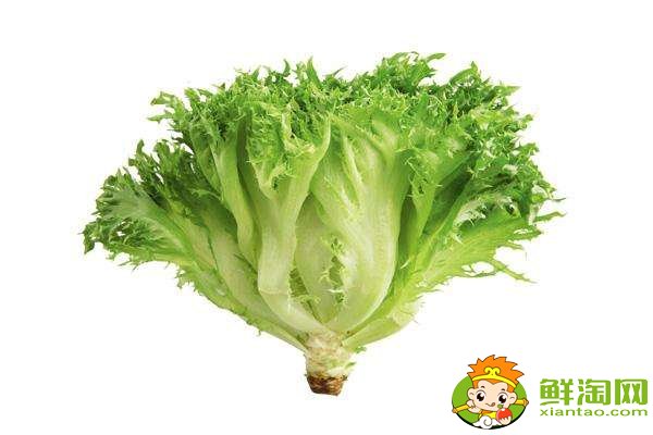 為什么吃萵苣不吃葉子,吃萵苣葉子的禁忌