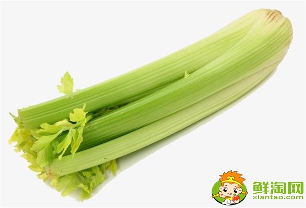 芹菜和西芹的區別，西芹和芹菜哪個營養好