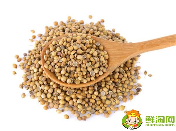 香菜什么時候種植最好,香菜種植方法和時間