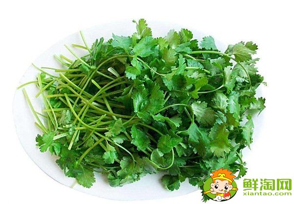香菜吃多了有什么壞處,香菜的功效與作用
