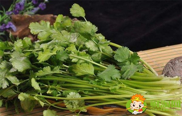 香菜吃多了有什么壞處，香菜的功效與作用