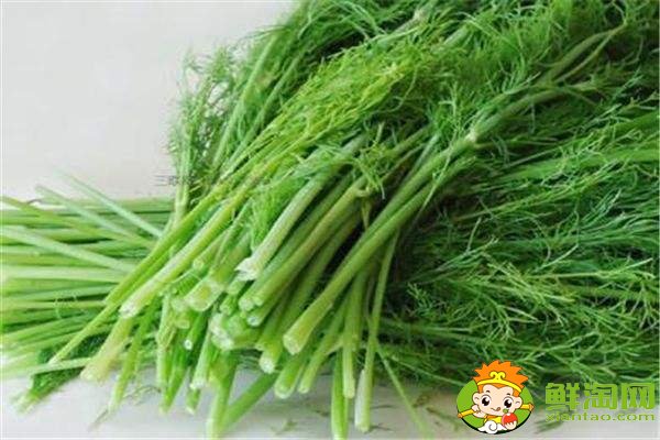 茴香菜的功效與作用及食用方法，哪些人不適合吃茴香菜