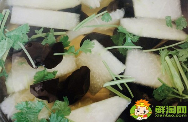 香菜怎么保存新鮮不爛，冬瓜木耳香菜湯可以減肥嗎