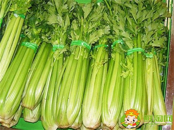 山東芹菜產地哪里有名,西芹哪里產的最好