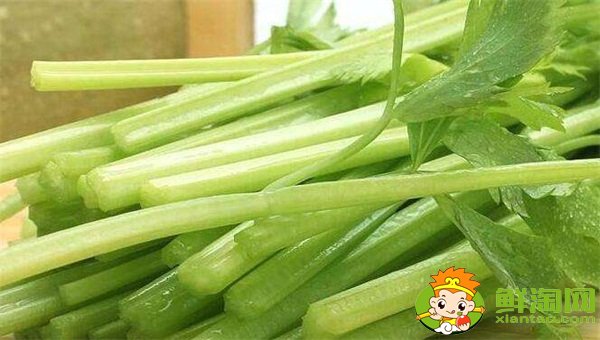 山東芹菜產地哪里有名,西芹哪里產的最好