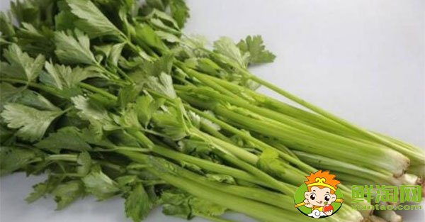 山東芹菜的主要產(chǎn)地在哪，芹菜基地哪里最便宜