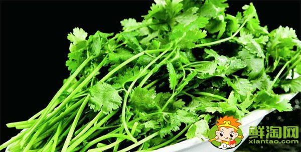 孕婦可以吃香菜嗎對胎兒有影響嗎,孕婦十大禁忌蔬菜