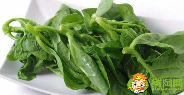 孕婦可以吃香菜嗎對胎兒有影響嗎，孕婦十大禁忌蔬菜