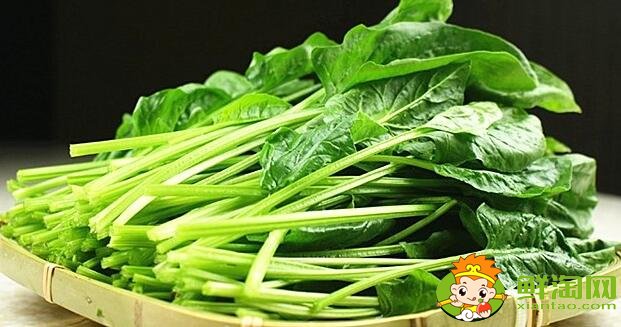 如何挑選菠菜，什么樣的菠菜好吃