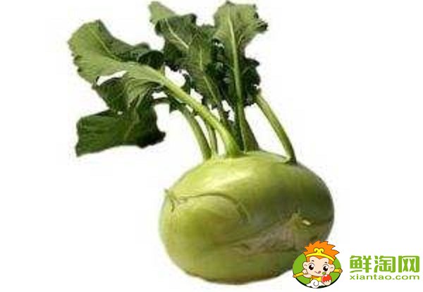 芥菜疙瘩的腌制方法，怎樣腌芥菜疙瘩不爛