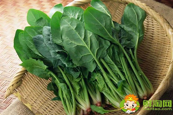 菠菜根色是什么顏色，蔥和菠菜的根有什么不同