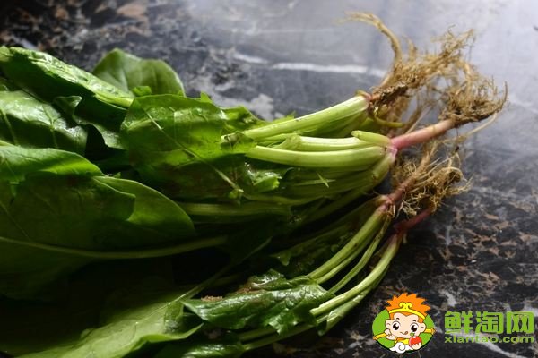 菠菜的食用部分屬于葉嗎,菠菜根吃了有什么好處