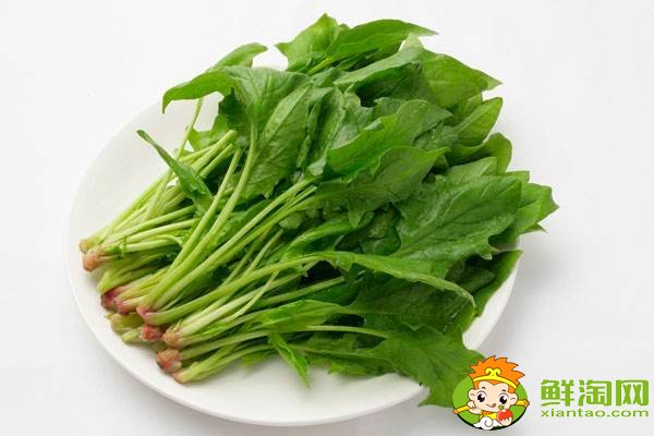 菠菜吃葉子還是莖,菠菜的營養都在根上嗎