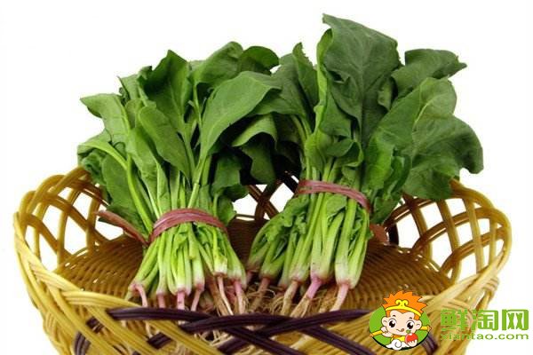 菠菜賤賣是什么梗,網絡語菠菜是什么意思