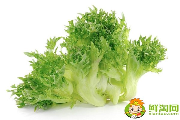 萵苣是筍子嗎,萵苣是生菜嗎