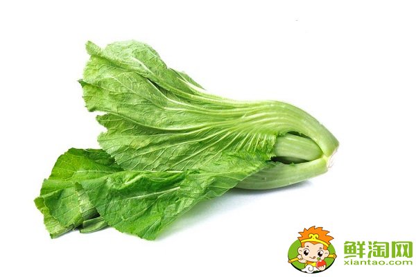 芥菜就是酸菜嗎,芥菜是雪里紅嗎
