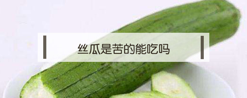 絲瓜是苦的能吃嗎