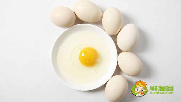 豆漿不能和什么一起吃,豆漿和什么相克