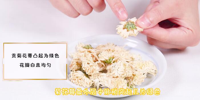 貢菊花是不是白菊花