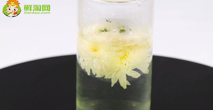 貢菊花是不是白菊花
