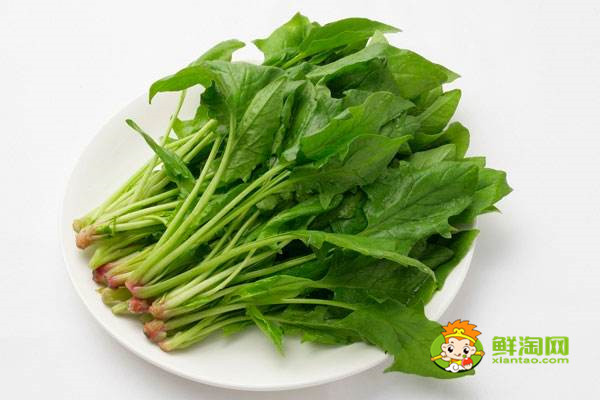 家常豆腐湯菠菜怎么做好喝,科學(xué)證實豆腐菠菜可以一起吃很好吃!