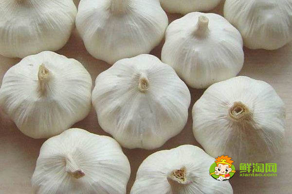 蜂蜜不能和什么一起吃，原來蜂蜜是不適合加到豆漿中飲用