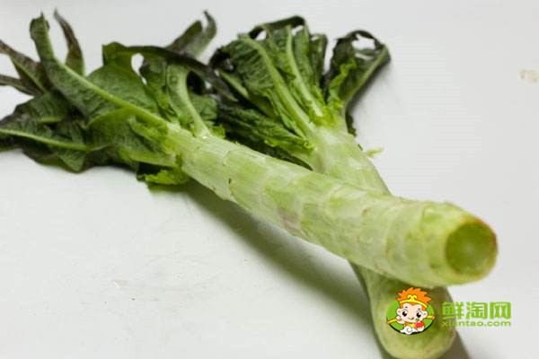 蜂蜜不能和什么一起吃，原來蜂蜜是不適合加到豆漿中飲用