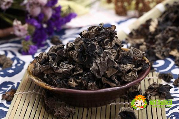 白蘿卜不能和什么一起吃，白蘿卜的克星有山藥人參