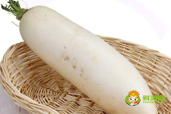 白蘿卜不能和什么一起吃,白蘿卜的克星有山藥人參