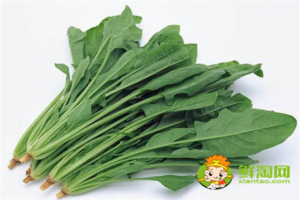 為什么菠菜不能放很長時間,菠菜可以放冰箱冷凍嗎