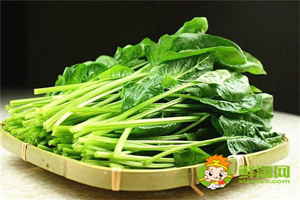 菠菜保鮮和儲(chǔ)存方法，菠菜為什么不能晚上吃
