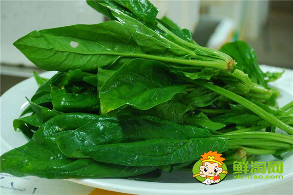 菠菜怎么煮出來又嫩又好吃，菠菜可以直接涮鍋嗎