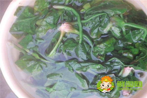 菠菜涼拌怎么好吃，菠菜涼拌要焯水多長時間才行
