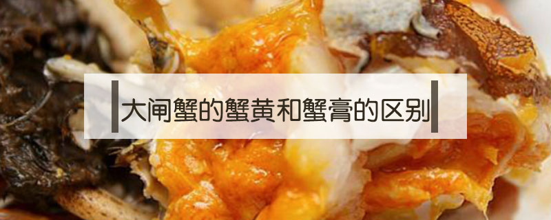 大閘蟹的蟹黃和蟹膏的區別