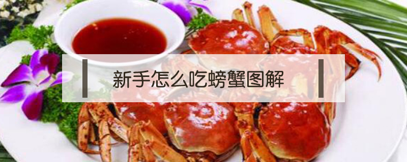 新手怎么吃螃蟹圖解