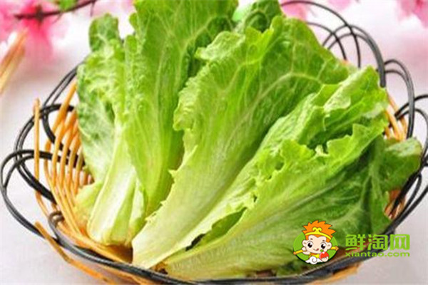 7種蔬菜更適合生吃，蔬菜生吃更有營養，廚房懶人必備