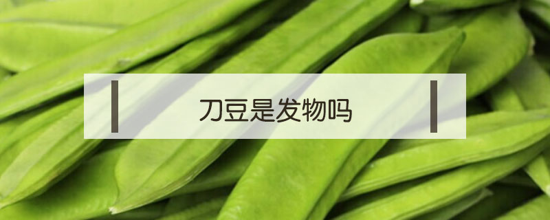 刀豆是發(fā)物嗎