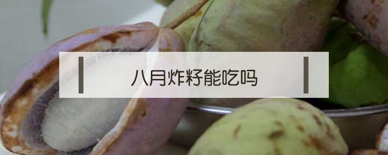 八月炸籽能吃嗎