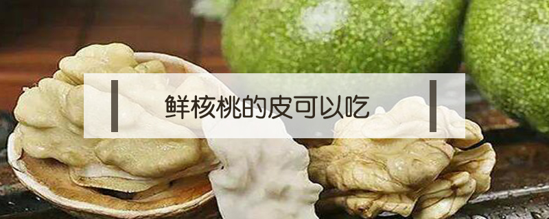 鮮核桃的皮可以吃嗎