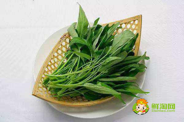 秋天為什么要少吃空心菜，這些人最好不要再吃空心菜啦！